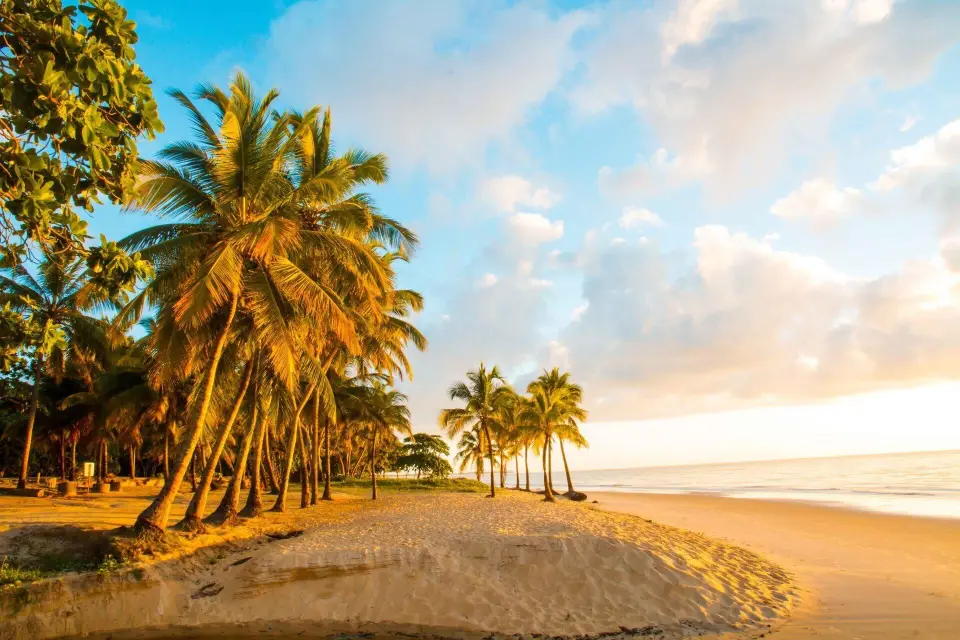 Coqueiros na beira da praia ao entardecer, no litoral sul da Bahia